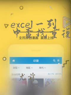 excel一列中查找重复数据