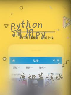 python 调用py