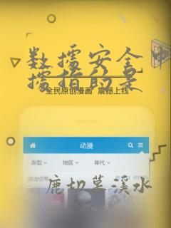 数据安全中的数据指的是