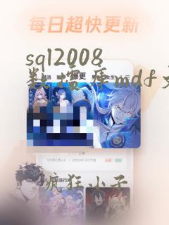 sql2008数据库mdf文件 恢复