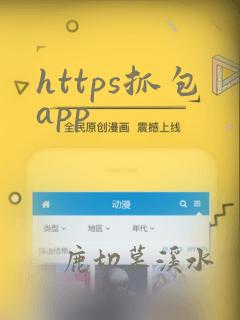 https抓包app