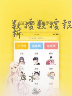 数据数据报告分析