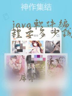 java软件编程要多少钱
