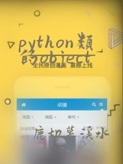 python类的object