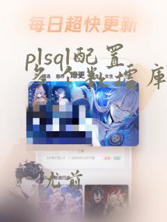 plsql配置多个数据库