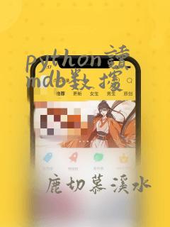 python读mdb数据