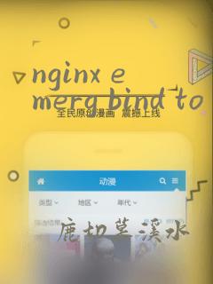 nginx emerg bind to 0.0.0.0:80