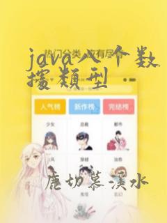 java八个数据类型