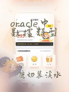 oracle中数据类型