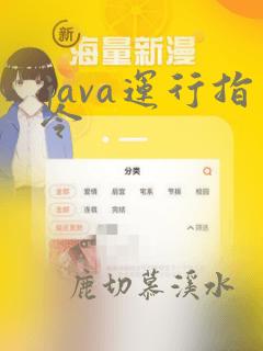 java运行指令
