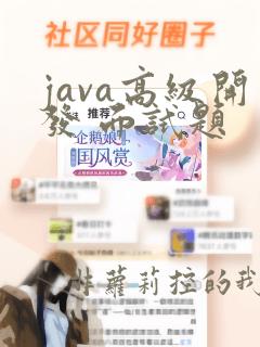 java高级开发 面试题