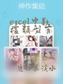excel中数据类型有
