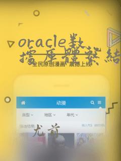 oracle数据库体系结构图