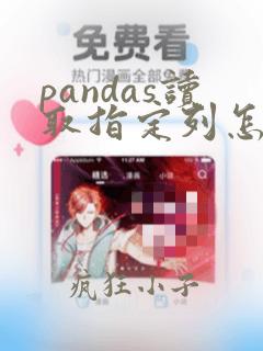 pandas读取指定列怎么实现