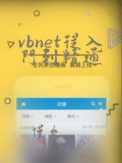 vbnet从入门到精通