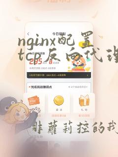 nginx配置tcp反向代理