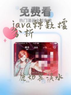 java转数据分析