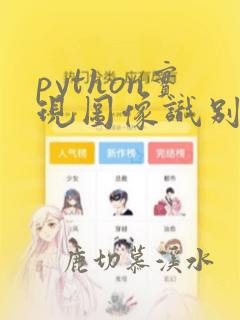 python实现图像识别