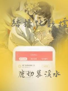 结构化数据类型