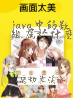 java中的数组属于什么类型