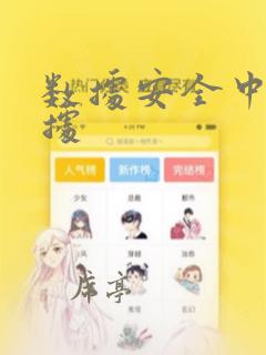 数据安全中的数据