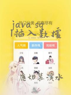 java sql插入数据