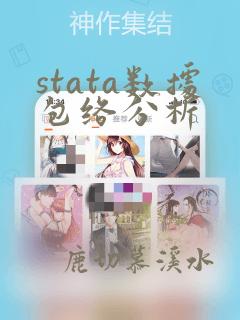 stata数据包络分析