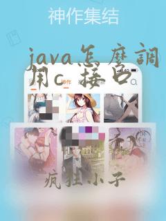 java怎么调用c 接口