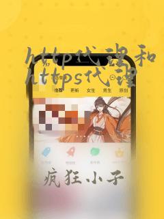 http代理和https代理