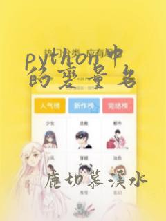python中的变量名