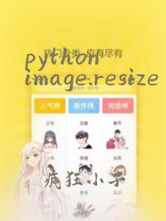 python image.resize