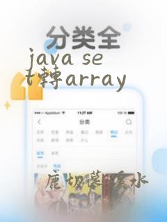 java set转array