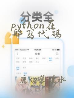 python在哪写代码