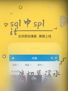 sql中split