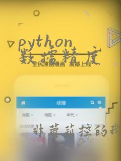 python 数据精度