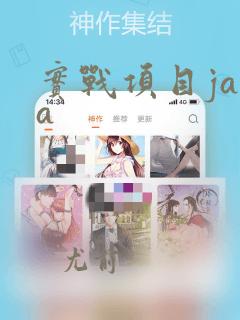 实战项目java
