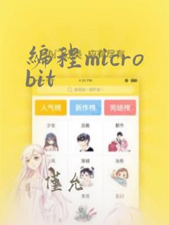 编程microbit