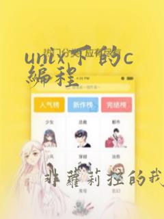 unix下的c编程