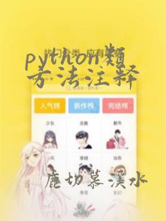 python类方法注释