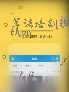 算法培训班python