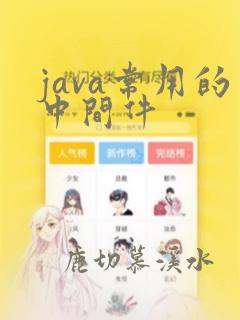 java常用的中间件