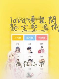 java项目开发完整案例