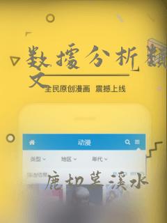 数据分析类的论文