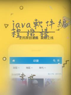 java软件编程 机构