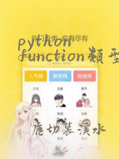python function类型