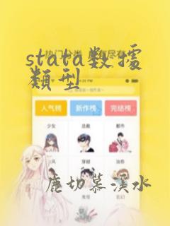 stata数据类型