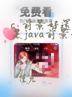 c  前景好还是java前景好