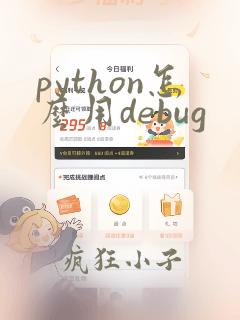 python怎么用debug