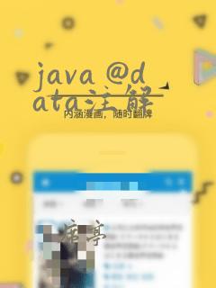 java @data注解