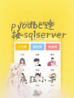 pyodbc连接sqlserver